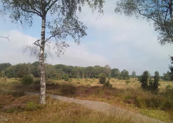 Camping Heidehuisje *