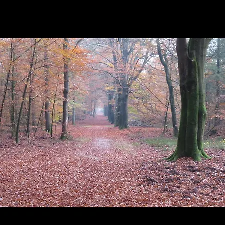 Heidehuisje Campingplatz