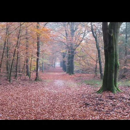 Heidehuisje Campsite