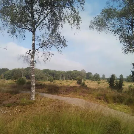 Campsite Heidehuisje *